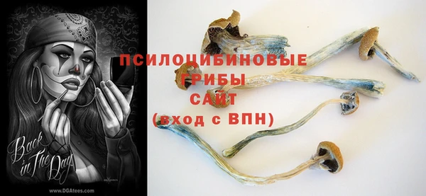СК Аркадак
