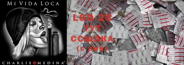 PSILOCYBIN Армянск