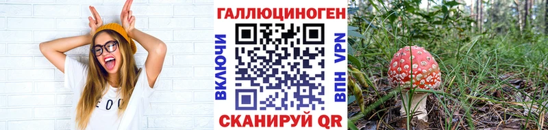Псилоцибиновые грибы Cubensis  купить закладку  Пучеж 
